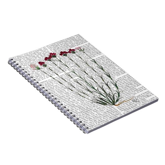 Carnet Carnation italienne 4 (Côté Droit)