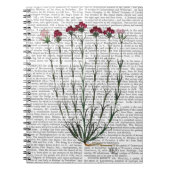 Carnet Carnation italienne 4 (Devant)