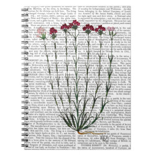 Carnet Carnation italienne 4