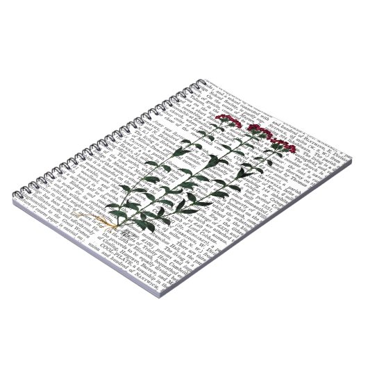 Carnet Carnation italienne 6 (Côté gauche)