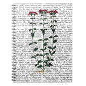 Carnet Carnation italienne 6 (Devant)