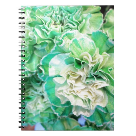 Carnet Carnation verte (Devant)