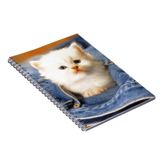 Carnet Carnet-Bleu Jean Poche Kitten (Côté Droit)
