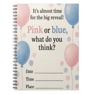 Carnet "Carnet des ballons rose et bleu