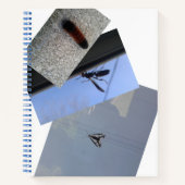 Carnet Carnet/INSECTES/MÉTROPOLIME (Devant)