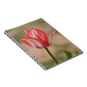 Carnet Carnet/Journal Spiral Tulip (Côté Droit)
