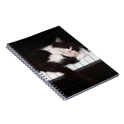 Carnet Carnet-Piano-Kitten (Côté Droit)