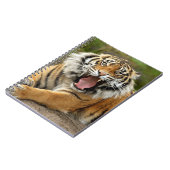 Carnet Carnet-Tigre (Côté gauche)