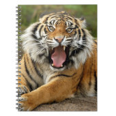 Carnet Carnet-Tigre (Devant)