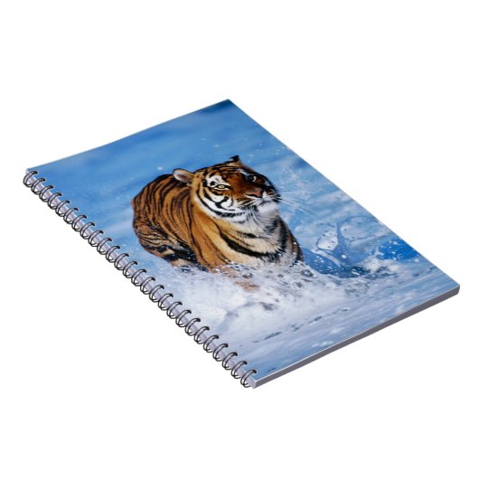 Carnet Carnet-tigre (Côté Droit)