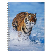 Carnet Carnet-tigre (Devant)