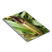 Carnet Carnivorous Pitcher Plant Photo (Côté Droit)