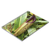 Carnet Carnivorous Pitcher Plant Photo (Côté gauche)