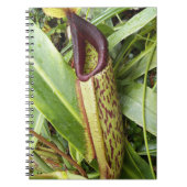 Carnet Carnivorous Pitcher Plant Photo (Devant)