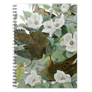Carnet Carolina Pigeon Audubon Morning Dove
