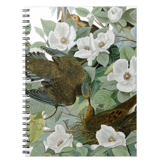 Carnet Carolina Pigeon Audubon Morning Dove (Devant)