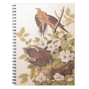 Carnet Carolina Pigeon ou Dove en deuil