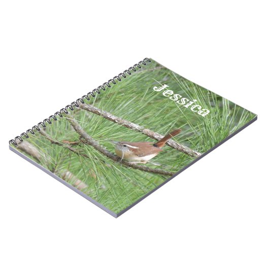 Carnet Carolina Wren dans le pin (Côté gauche)