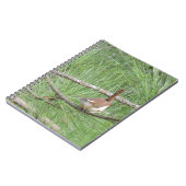 Carnet Carolina Wren in Pine Tree (Côté gauche)