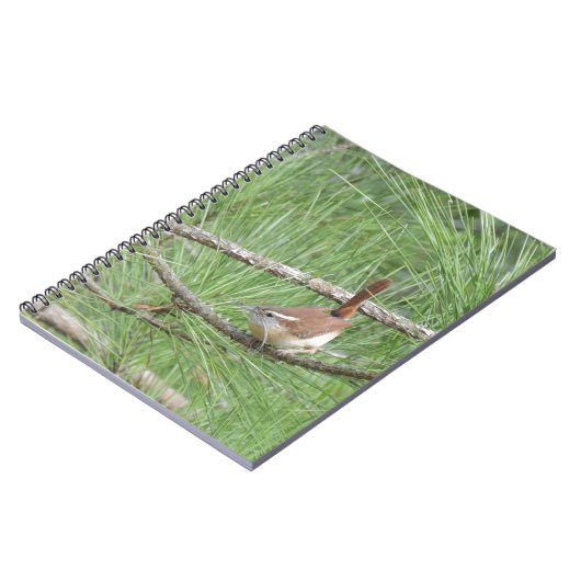 Carnet Carolina Wren in Pine Tree (Côté gauche)