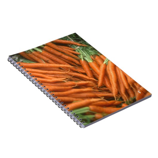 Carnet Carottes (Côté Droit)