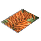 Carnet Carottes (Côté gauche)