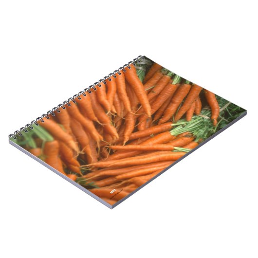 Carnet Carottes (Côté gauche)