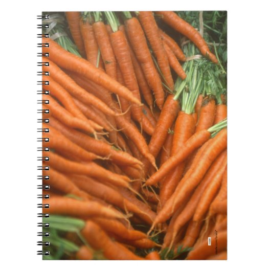 Carnet Carottes (Devant)