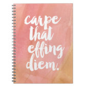 Carnet Carpe Ce Diem Efficace | ROSE (Devant)