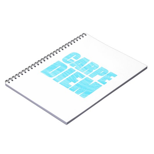 Carnet Carpe Diem (Côté gauche)