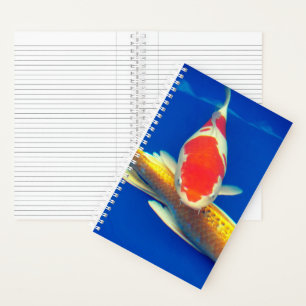 Carnet Carpes Koï Colorées dans un Bassin Bleu