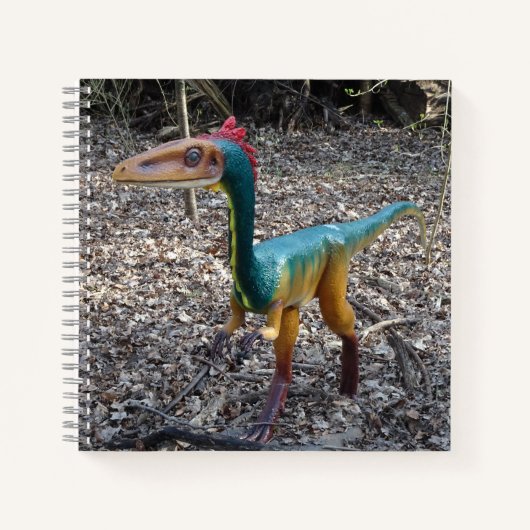 Carnet Carré Dinosaure coloré mignon (Devant)