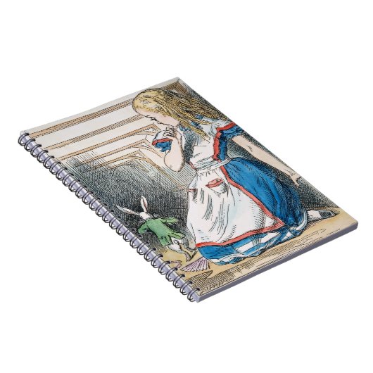 Carnet Carroll : Alice, 1865 (Côté Droit)