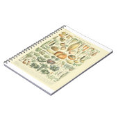 Carnet Carte d'identification des légumes (Côté gauche)