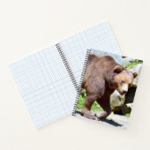 Carnet Carte postale Brown (Intérieur)