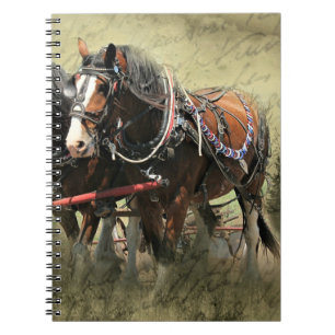 Carnet Carte postale Patiné vintage Clydesdale
