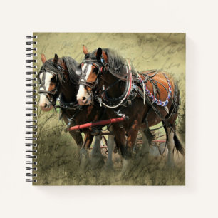 Carnet Carte postale Patiné vintage Clydesdale