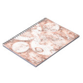 Carnet Carte rose du monde d'antiquité de parties (Côté gauche)