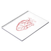 Carnet Cartographie de l'anatomie cardiaque humaine (Côté gauche)