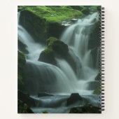 Carnet Cascade calmante (Dos)