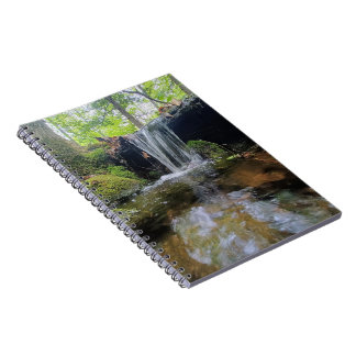 Carnet Cascade dans les bois