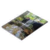 Carnet Cascade dans les bois (Côté gauche)