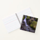 Carnet Cascade de Fae...... (Intérieur)