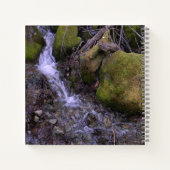 Carnet Cascade de Fae...... (Dos)