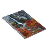 Carnet Cascade El Chorrillo | Patagonie, Argentine (Côté Droit)