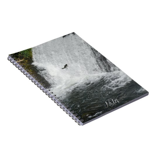 Carnet Cascade saumon (Côté Droit)