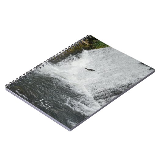 Carnet Cascade saumon (Côté gauche)