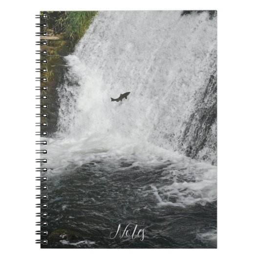 Carnet Cascade saumon (Devant)