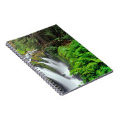 Carnet Cascades de Sol Duc dans le parc national Olympiqu (Côté Droit)