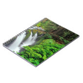 Carnet Cascades de Sol Duc dans le parc national Olympiqu (Côté gauche)